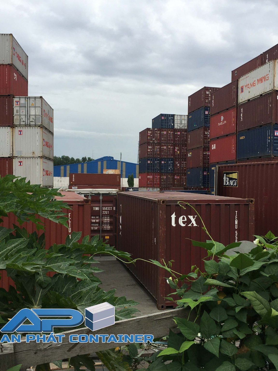 tình trạng thiếu hụt container đóng hàng Nguyên nhân dẫn đến giá ...